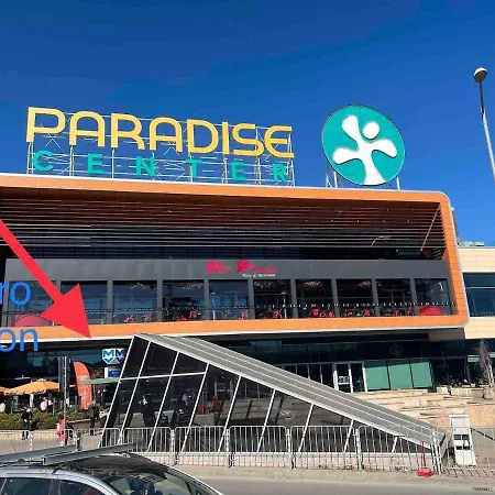 Turquoise Exotic Bliss * 소피아